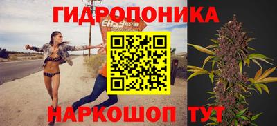 гашик Бузулук