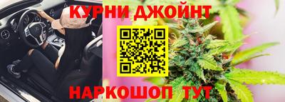 молекула духа Будённовск