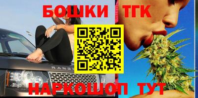 молекула духа Будённовск