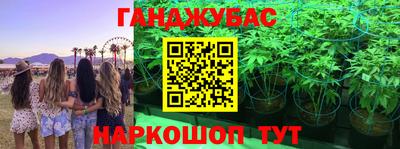 гашик Бузулук