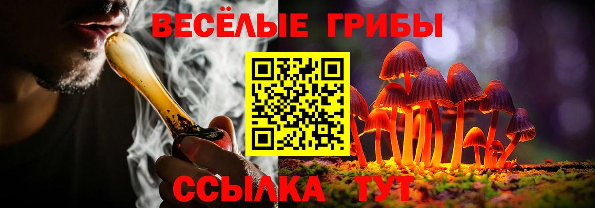 Галлюциногенные грибы MAGIC MUSHROOMS  Вход с VPN  Мирный 